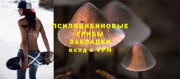 хмурый Белокуриха