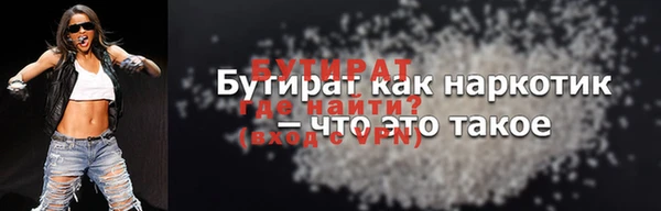 индика Сатка