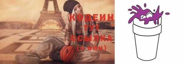 индика Сатка