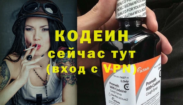 хмурый Белокуриха