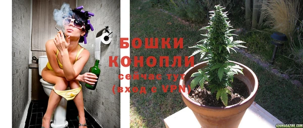 хмурый Белокуриха