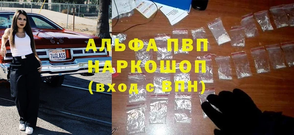 индика Сафоново