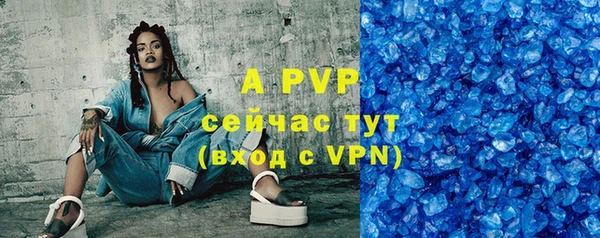 хмурый Белокуриха