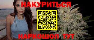 mdpv Гатчина