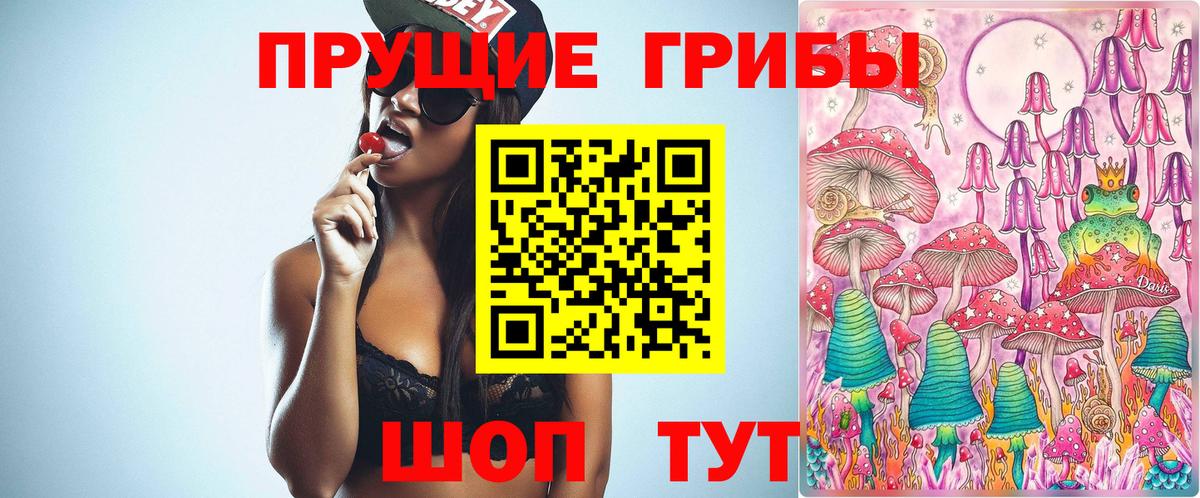 Галлюциногенные грибы Magic Shrooms  дарнет шоп  Вход с VPN  Кунгур  Псилоцибиновые грибы мухоморы 